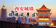 啊啊啊大鸡巴好粗日的小骚逼好爽中国陕西-西安城墙旅游风景区