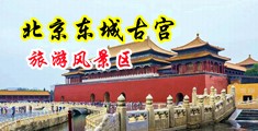 艹逼无码免费看下载中国北京-东城古宫旅游风景区