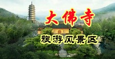 小黄片免费露B中国浙江-新昌大佛寺旅游风景区